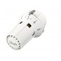DANFOSS RTRW 7081 Термостатический элемент 013G7081 DANFOSS RTRW 7081 Термостатический элемент 013G7081