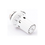 DANFOSS RLV-KB 20 + RTRW-K, 3/4 Угловой(пр. класс 0303910569) 013G7235 DANFOSS RLV-KB 20 + RTRW-K, 3/4 Угловой(пр. класс 0303910569) 013G7235