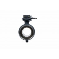РИДАН RJIP Premium 065N0161GR — Кран шаровой WW DN250 PN25 WG (приварной, с редуктором, стандартный проход) 065N0161GR