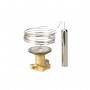 DANFOSS 067G3205 — TE 55 Элемент термостатический 067G3205 DANFOSS 067G3205 — TE 55 Элемент термостатический 067G3205